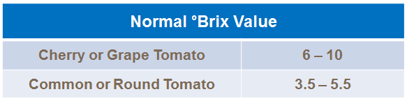 normal brix values for tomatoes