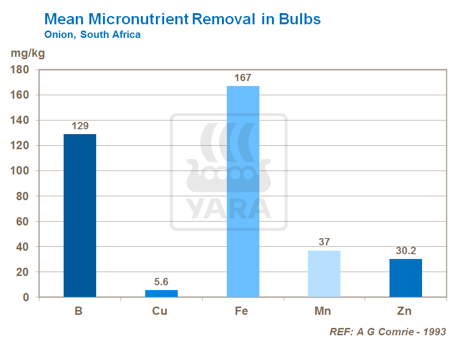 micronutrients removal in onions