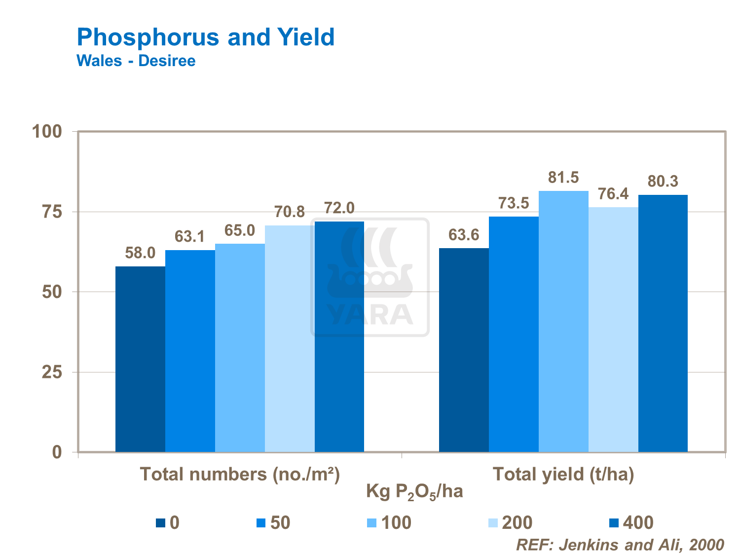 Phosphorus and Yield
