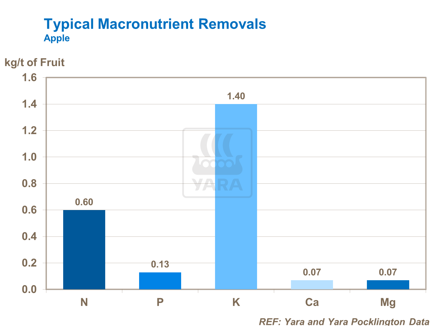 일반적인 다량영양소흡수