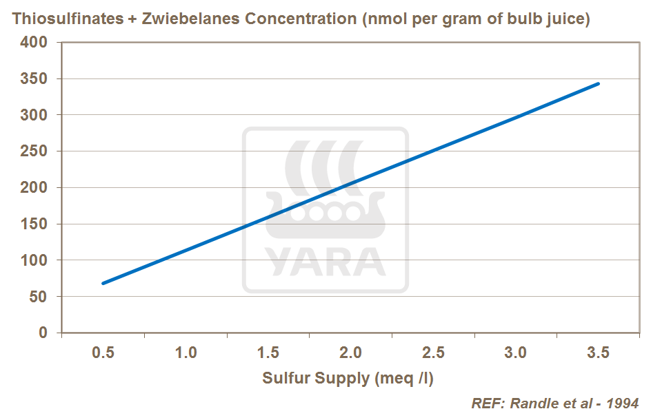 sulfur and onion pungency