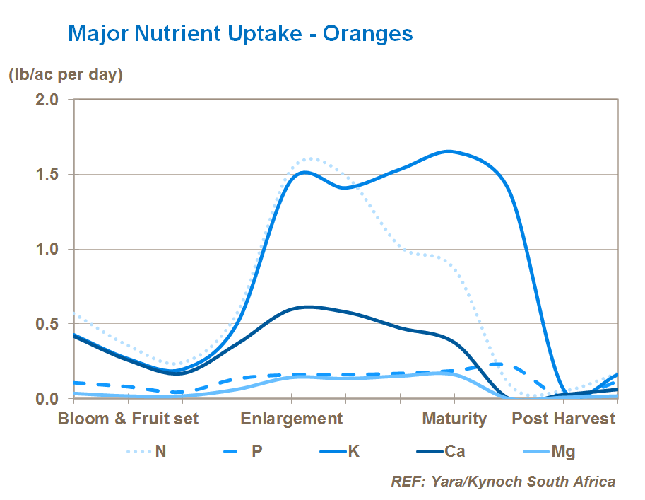 major nutrient uptake in citrus