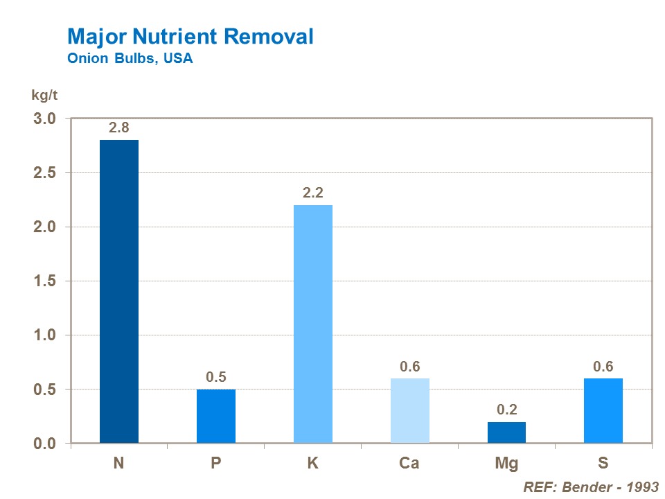 major nutrient removal in onion bulbs