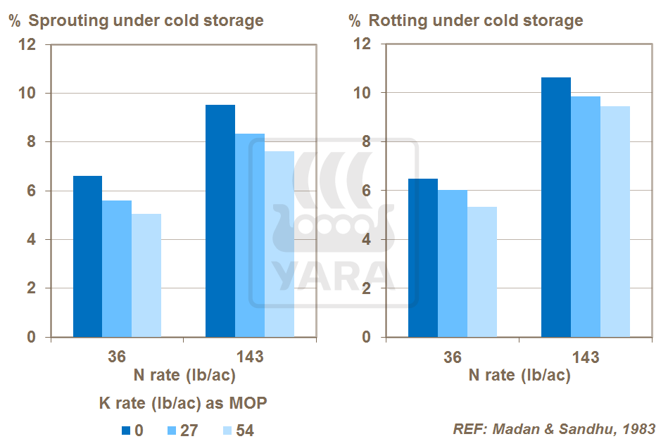 potassium and nitrogen balance and onion crop quality