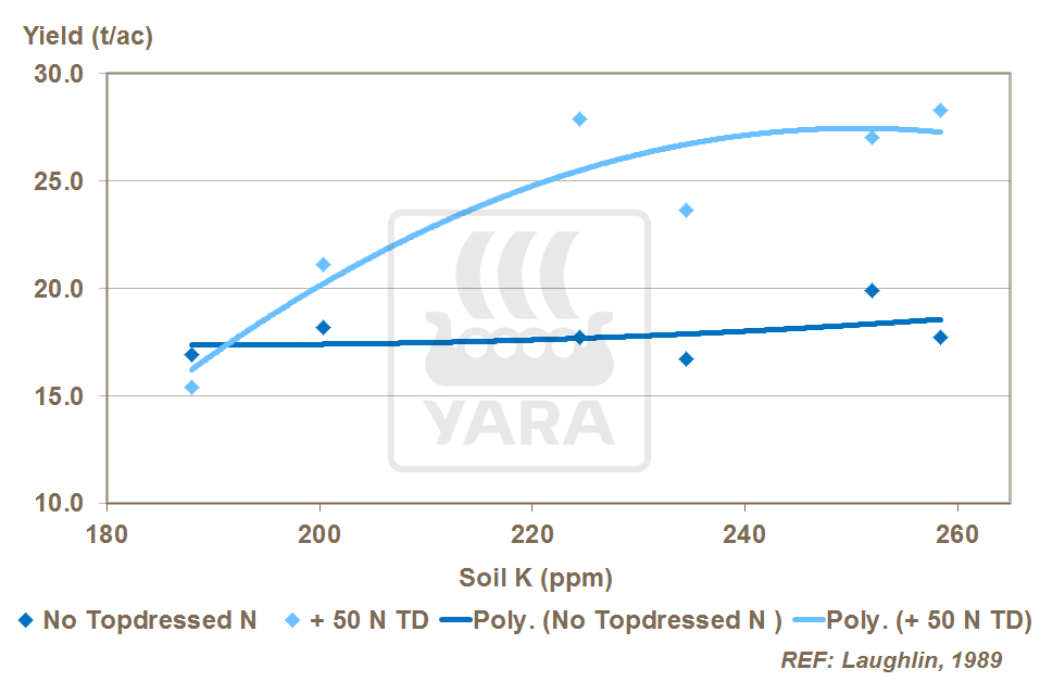 potassium and nitrogen balance in onion crop