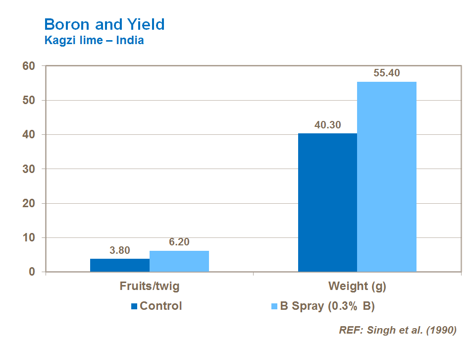 boron and citrus yield