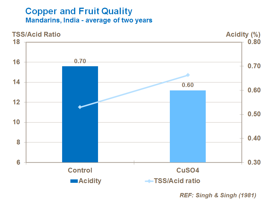 copper and citrus internal quality