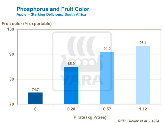 Phosphorus and Fruit Color