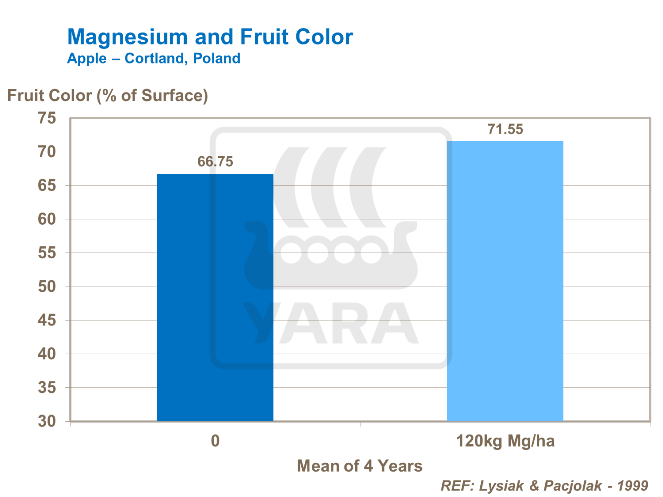 Magnesium and fruit color