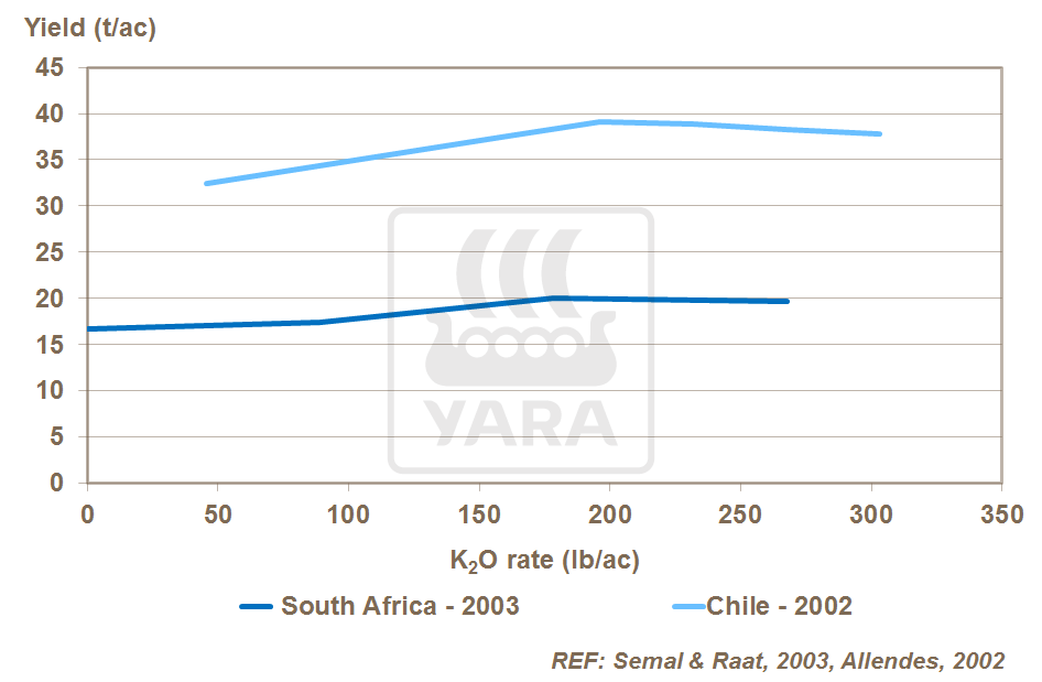 potassium and onion yield